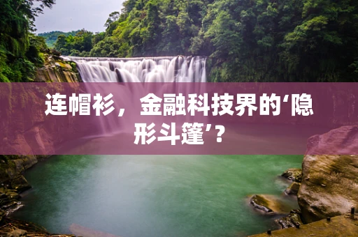 连帽衫，金融科技界的‘隐形斗篷’？