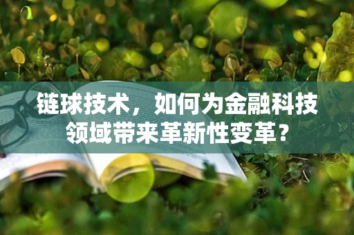 链球技术，如何为金融科技领域带来革新性变革？