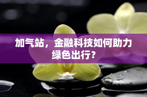 加气站，金融科技如何助力绿色出行？