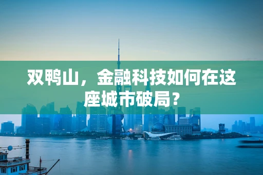 双鸭山，金融科技如何在这座城市破局？