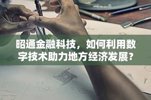 昭通金融科技，如何利用数字技术助力地方经济发展？