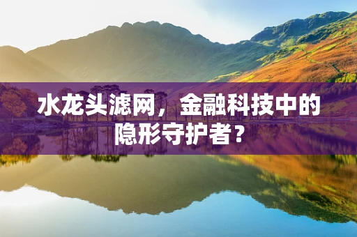 水龙头滤网，金融科技中的隐形守护者？