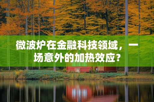 微波炉在金融科技领域，一场意外的加热效应？