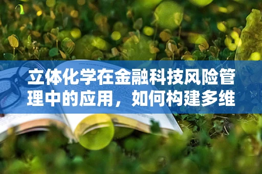 立体化学在金融科技风险管理中的应用，如何构建多维度的风险评估模型？