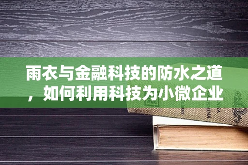 雨衣与金融科技的防水之道，如何利用科技为小微企业穿上防护服？