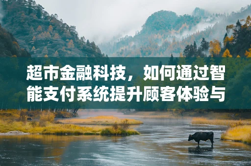 超市金融科技，如何通过智能支付系统提升顾客体验与运营效率？