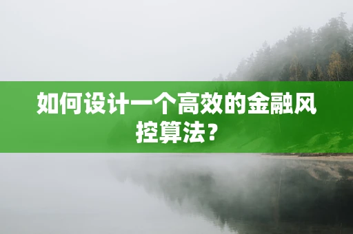 如何设计一个高效的金融风控算法？