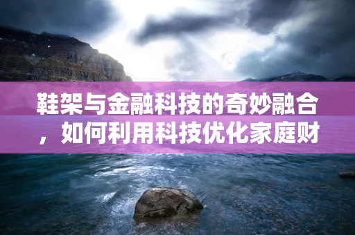 鞋架与金融科技的奇妙融合，如何利用科技优化家庭财务管理？