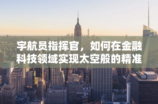 宇航员指挥官，如何在金融科技领域实现太空般的精准与高效？