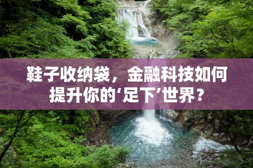 鞋子收纳袋，金融科技如何提升你的‘足下’世界？