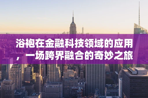 浴袍在金融科技领域的应用，一场跨界融合的奇妙之旅？