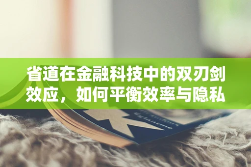 省道在金融科技中的双刃剑效应，如何平衡效率与隐私？