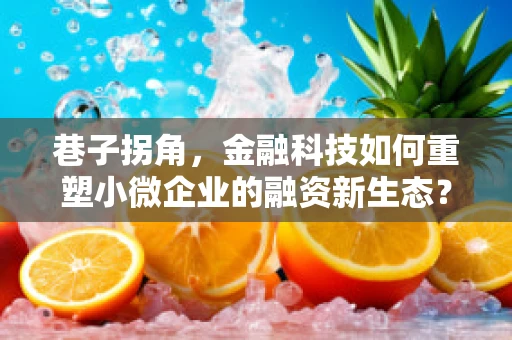 巷子拐角，金融科技如何重塑小微企业的融资新生态？