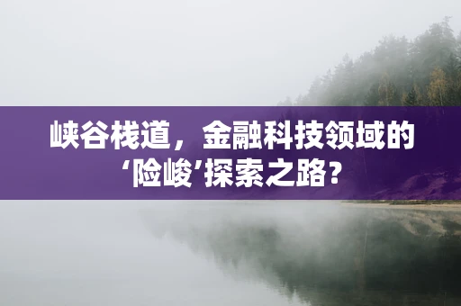 峡谷栈道，金融科技领域的‘险峻’探索之路？