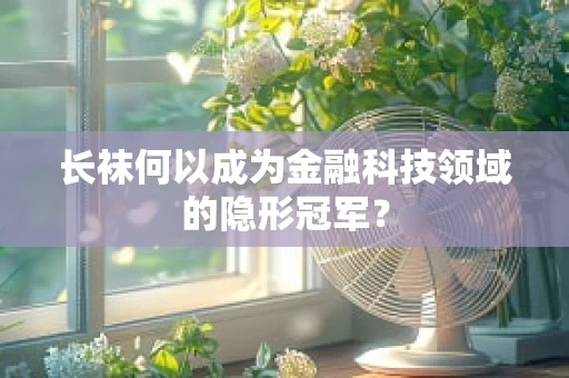 长袜何以成为金融科技领域的隐形冠军？