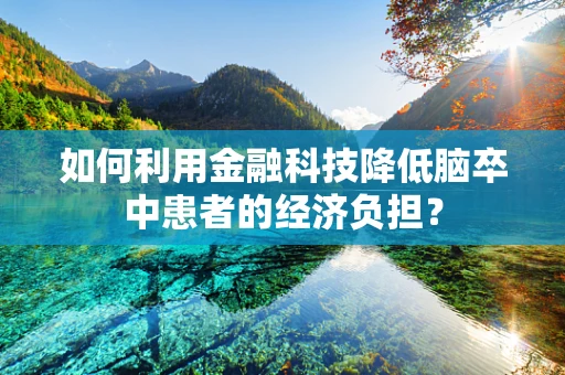 如何利用金融科技降低脑卒中患者的经济负担？