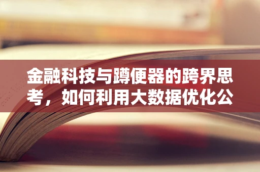 金融科技与蹲便器的跨界思考，如何利用大数据优化公共卫生间体验？