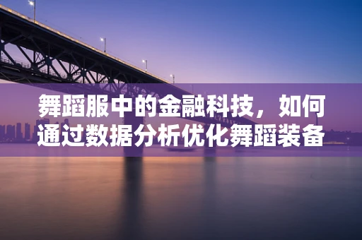 舞蹈服中的金融科技，如何通过数据分析优化舞蹈装备的个性化与效率？