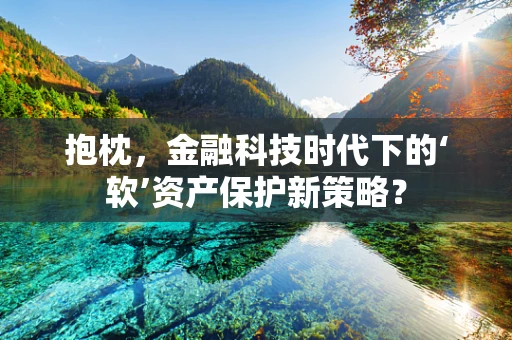 抱枕，金融科技时代下的‘软’资产保护新策略？